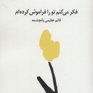 فکر می کنم تو را فراموش کردم