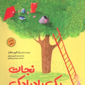 نجات یک بادبادک