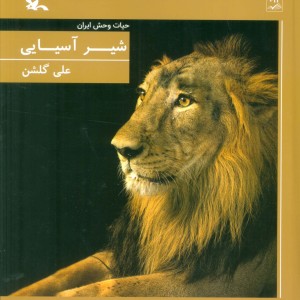 شیر آسیایی