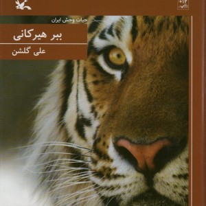 ببر هیرکانی