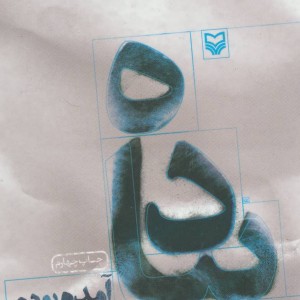 پیاده آمده بودم