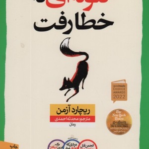 گلوله ای که خطا رفت