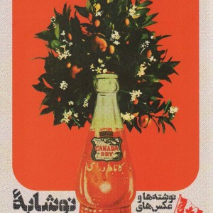 نوشابه زرد نشر مون