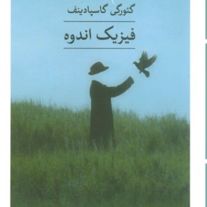 فیزیک اندوه