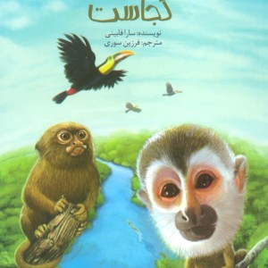 آمازون کجاست