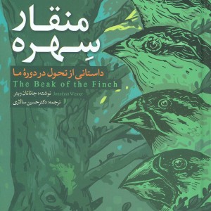 منقار سهره نشر مهاجر