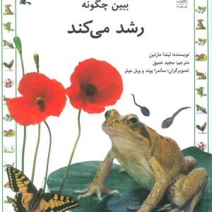 ببین چگونه رشد می کند
