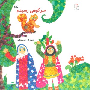 سر کوهی رسیدم