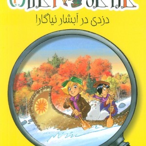 دزدی در آبشار نیاگارا