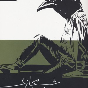 شب مجازی
