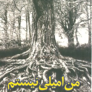 من امیلی نیستم - شایان طیبی میگونی