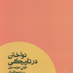 نواختن در تاریکی - تونی موریسون
