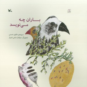 باران چه می نویسد