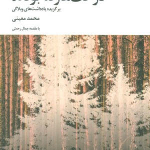 درخت ها رفته بودند