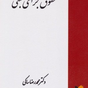 حقوق جزای ثبتی