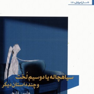 سیاهچاله یا دوسیم لخت و چند داستان دیگر - هامون قاپچی