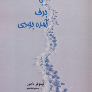 با برف آمده بودی