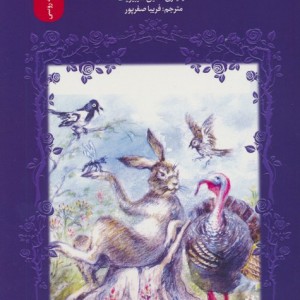 جیرجیرک کوچولو