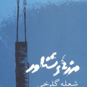 مرزهای شناور