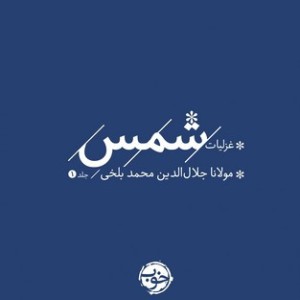 غزلیات شمس 2 جلدی زرکوب،جیبی،خوب