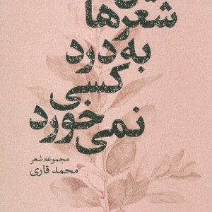 این شعرها به درد کسی نمی خورد
