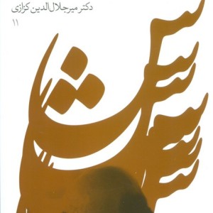 شبی در شارستان شور