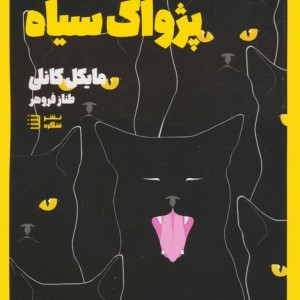 پژواک سیاه