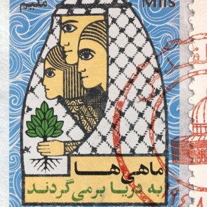 ماهی ها به دریا بر می گردند