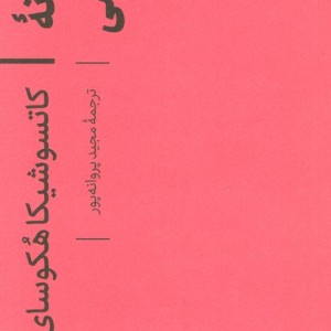 دیوانه نقاشی