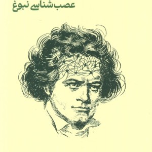 مغز خلاق
