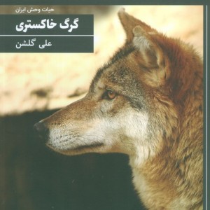 گرگ خاکستری نشر کانون پرورش فکری کودکان و نوجوانان