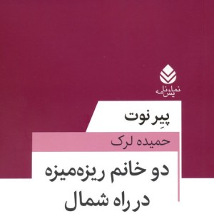 دو خانم ریزه میزه در راه شمال