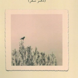 از بی تو بودن ها