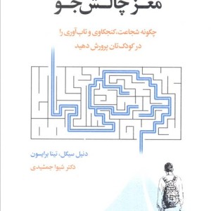 مغز چالش جو