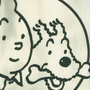 انجمن تک شاخ یک