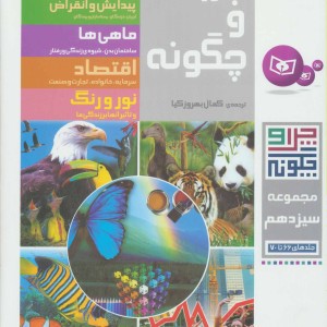 کتاب چرا و چگونه 13