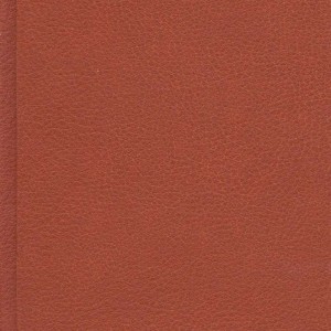 کتاب سفر به مرکز زمین نشر پارمیس