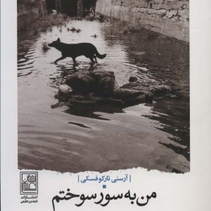 من به سور سوختم