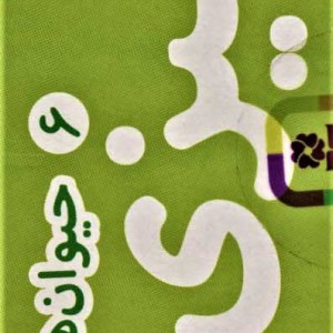 رنگ آمیزی متری شش