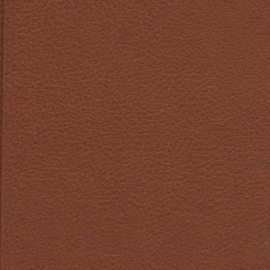 کتاب سلطانه نشر پارمیس