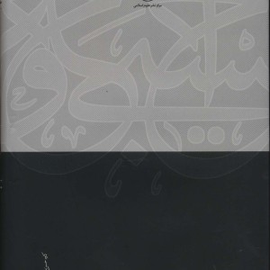 نظریه عمومی نفی دشواری
