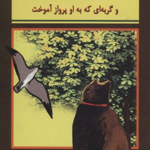 کتاب جوجه مرغ دریایی و گربه ای که به او پرواز آموخت