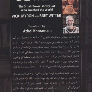 دویی گربه کتابخانه