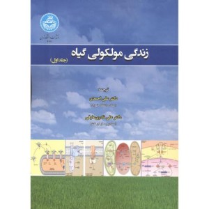زندگی مولکولی گیاه
