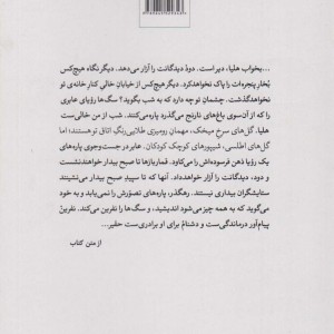 بار دیگر شهری که دوست می داشتم