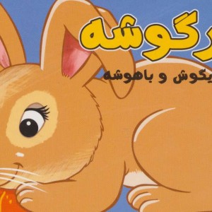 کتاب خرگوشه بازیگوش و باهوشه