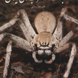 عنکبوت ها و عقرب های ایران