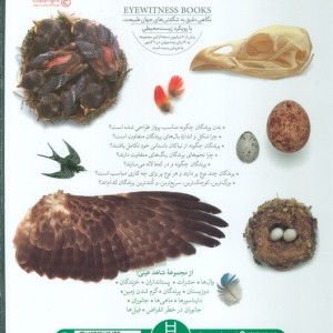 پرندگان شاهد عینی