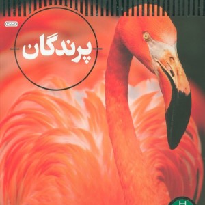پرندگان شاهد عینی