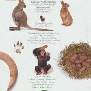 پستانداران نشر فنی ایران نردبان